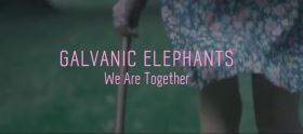 Galvanic Elephants - We Are Together