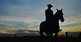South of Savoy - Son of a Cowboy
